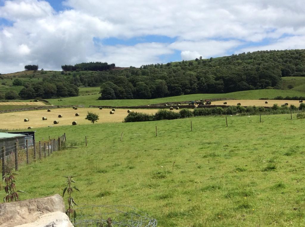 Crosslands Farm Kendal Bagian luar foto