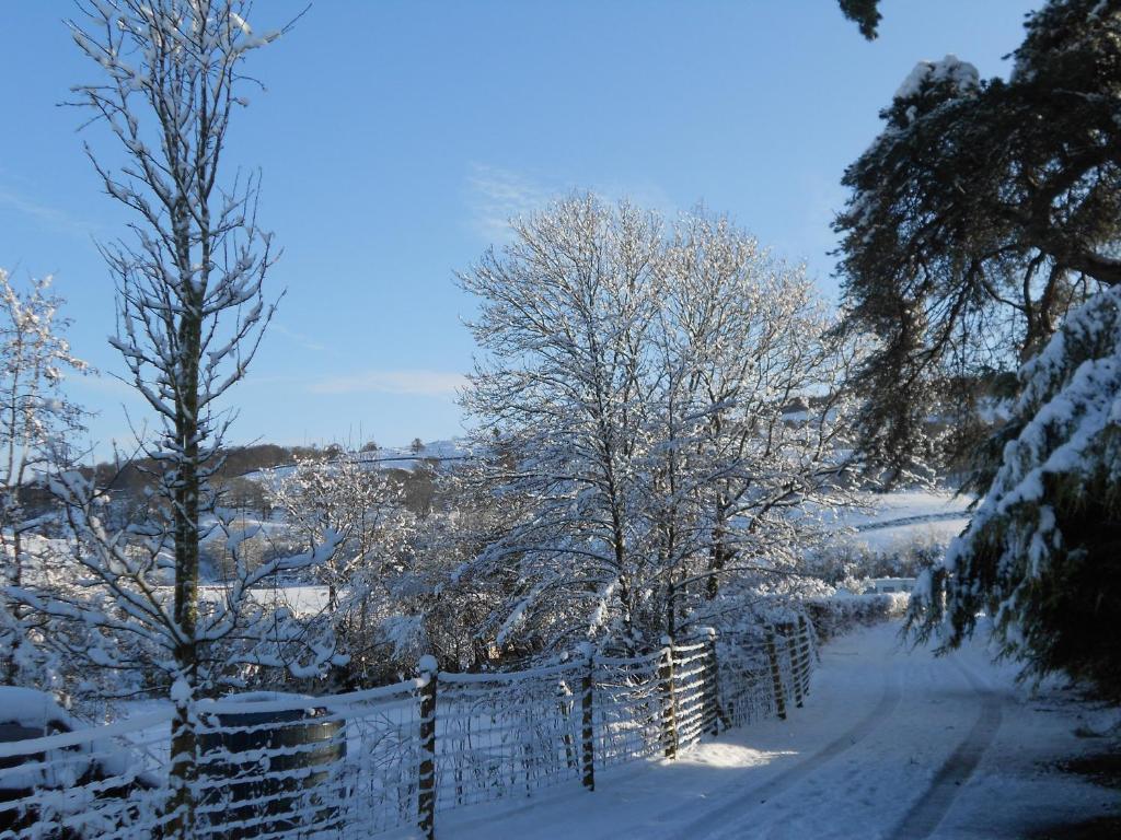 Crosslands Farm Kendal Bagian luar foto