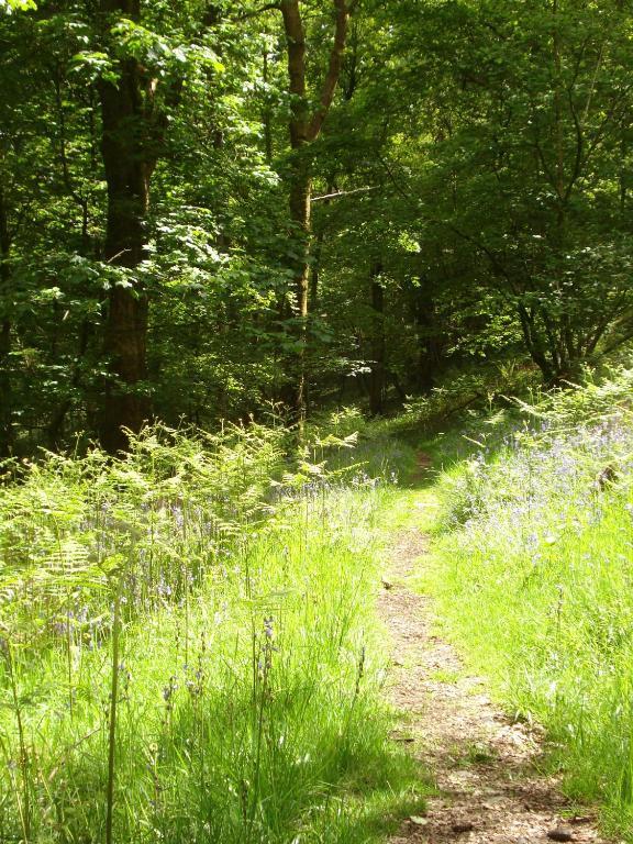Crosslands Farm Kendal Bagian luar foto