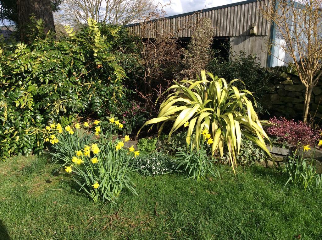 Crosslands Farm Kendal Bagian luar foto