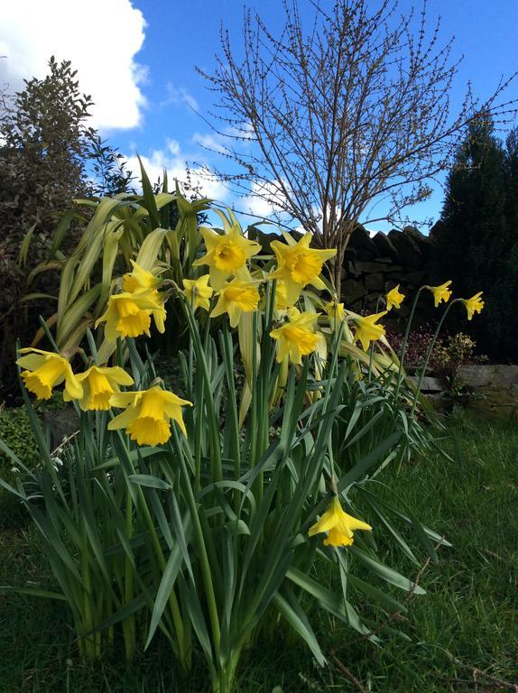 Crosslands Farm Kendal Bagian luar foto